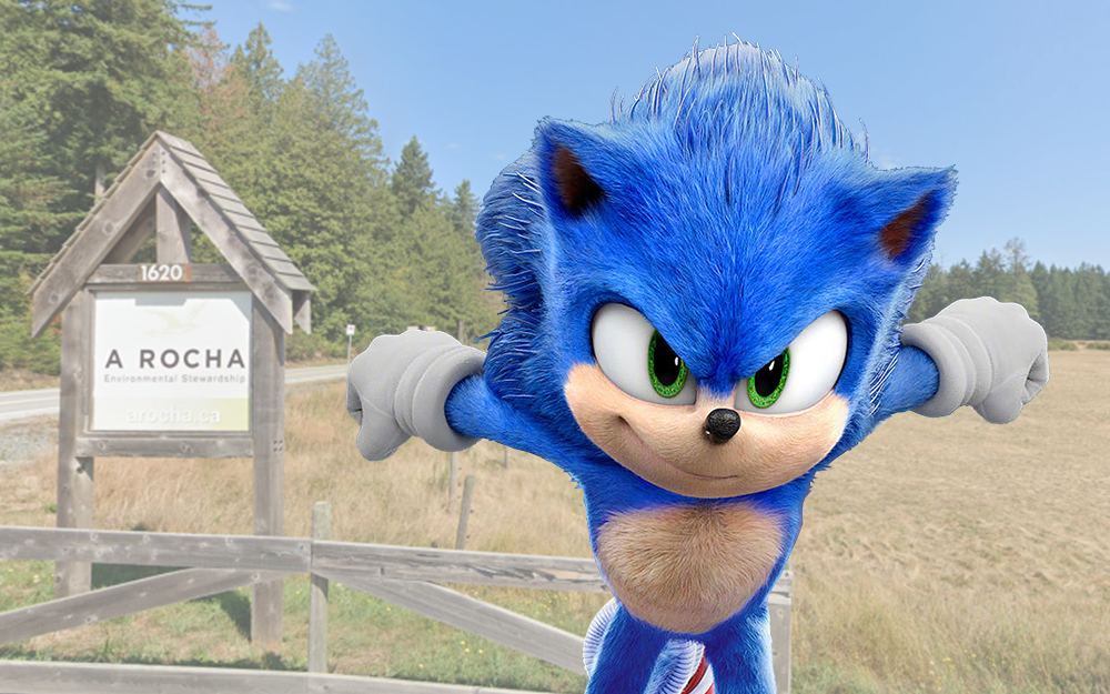 The Sonic Movie 2 is set to enter production in March 2021 and is codenamed  Emerald Hill - My Nintendo News