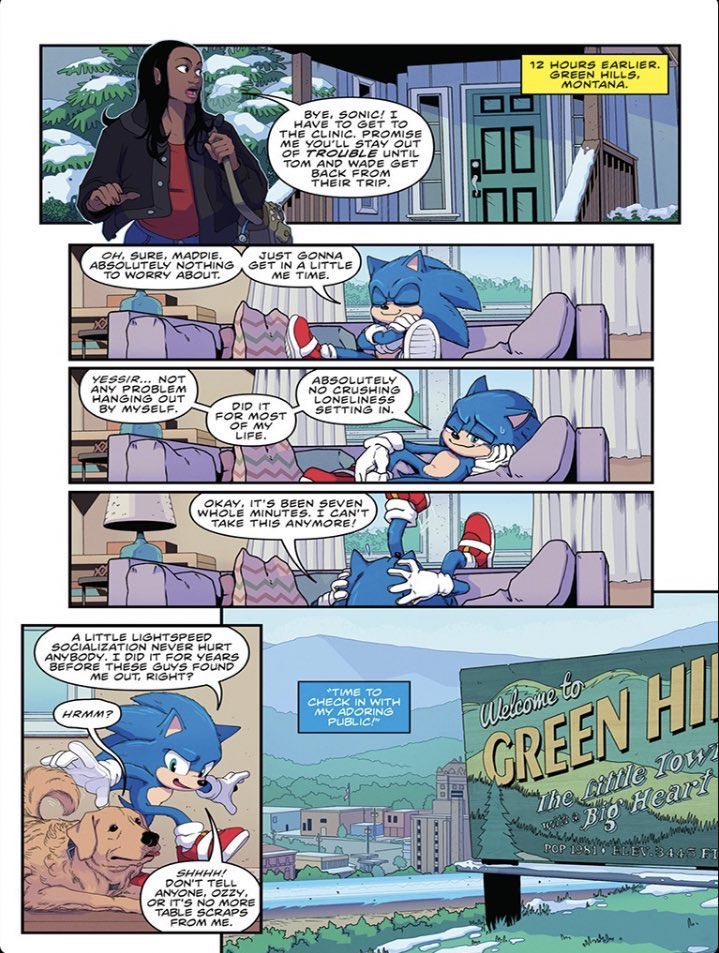 Sonic the Hedgehog 2: Official Movie Novel by Kiel Phegley